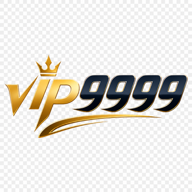 vip9999 logo